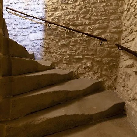 Château Provence La Roque-sur-Pernes
