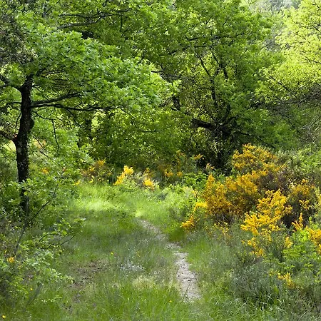 Château Provence Alojamento de Acomodação e Pequeno-almoço
